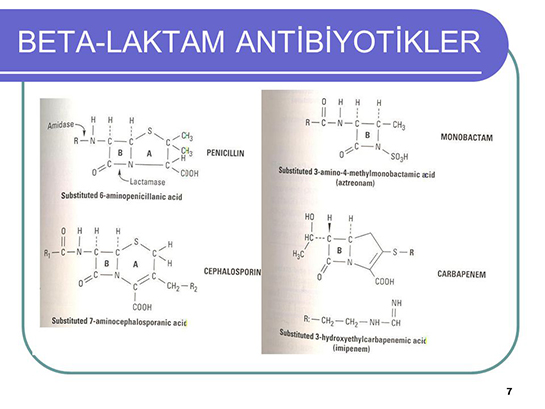 Beta Laktam Antibiyotikler