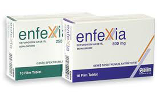 Enfexia Antibiyotik