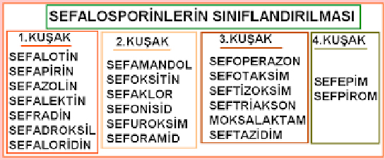 Sefalosporin Grubu Antibiyotikler